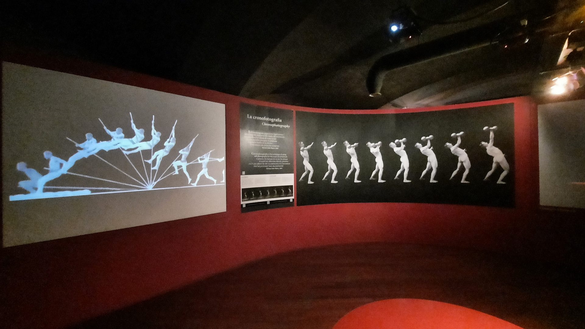 Chronophotography's section, Museo Nazionale del Cinema, Turin - 02.jpg
